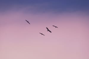 La liberté comme état d’être